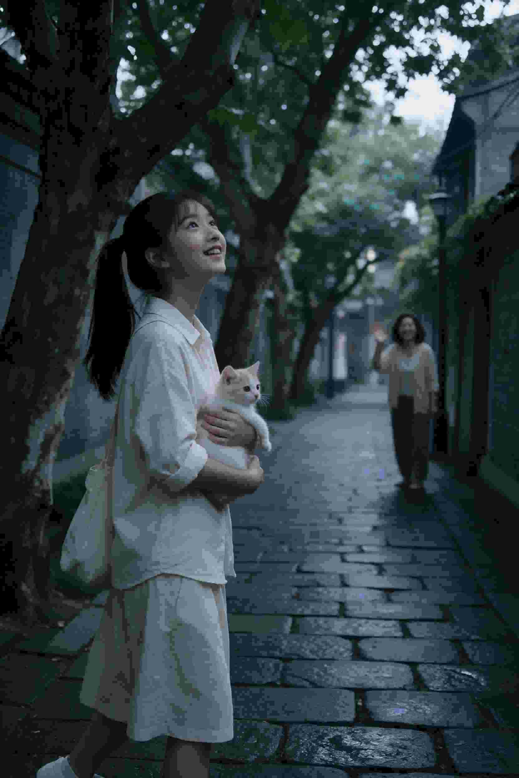 庭院琴音
